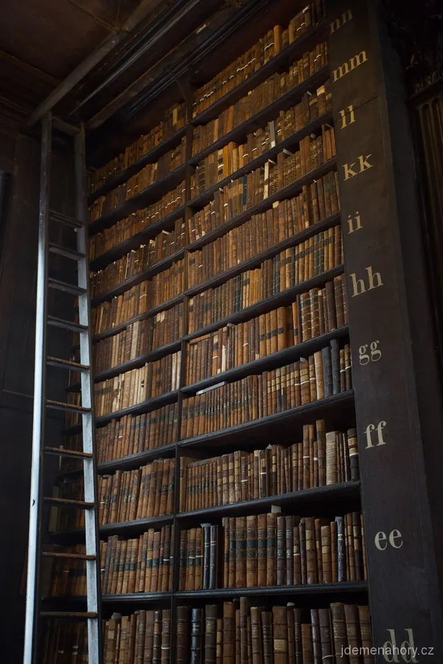 Old Library - Trinity Collage