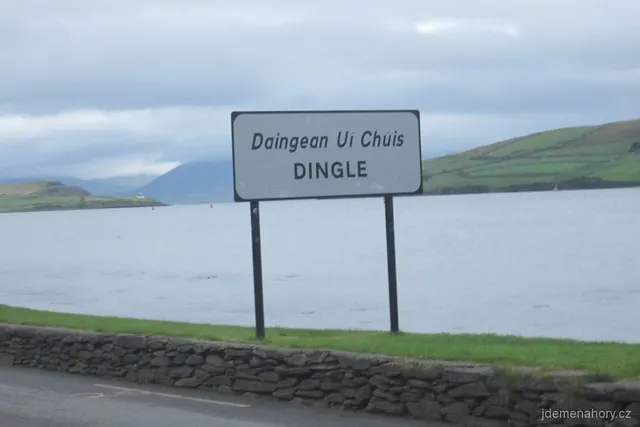 Dingle!