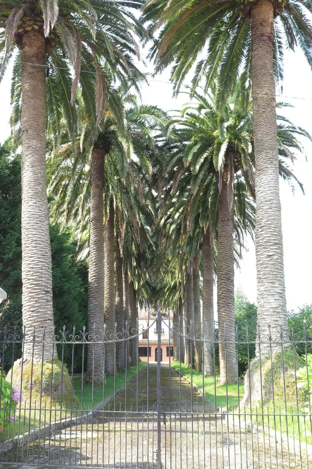 Camino del Norte