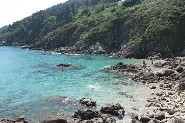Finnistera