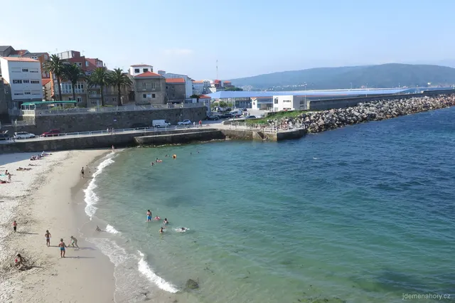 Finnistera