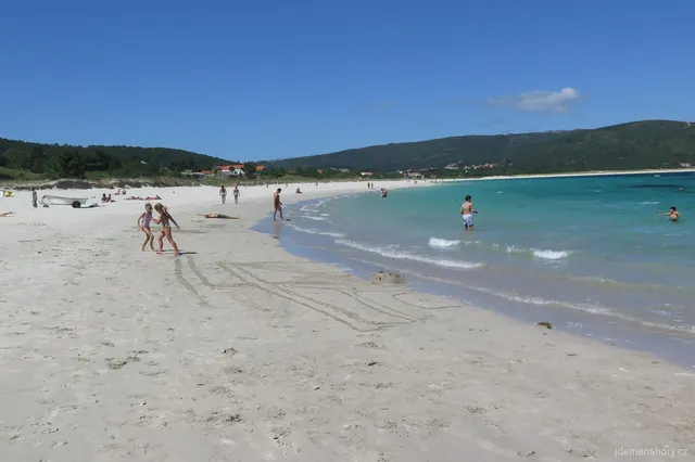 Finnistera